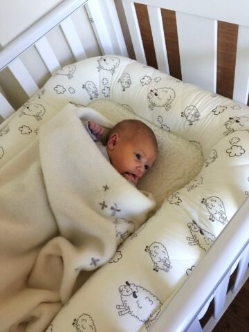 Babynest - Bild 2